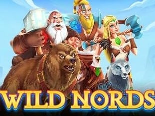 Wild Nords screenshot